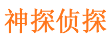 青山湖市私家侦探